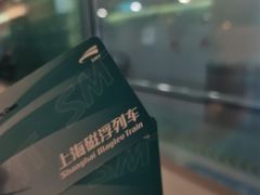 -龙阳路磁悬浮列车总站-停车场