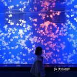 魔都夏日去哪里 | 海昌海洋公园避暑溜娃两不误