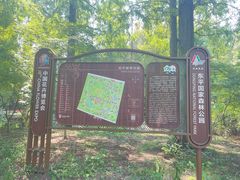 -东平国家森林公园