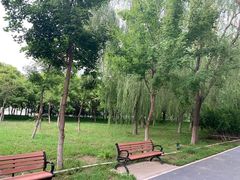 -大兴滨河森林公园