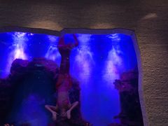 -瑞德姆美人鱼海底演艺主题餐厅(亚龙湾店)