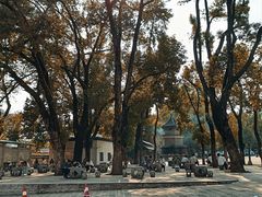 -宝通禅寺