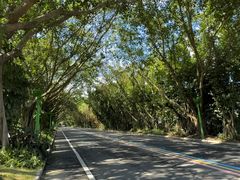 -东南花都花博园