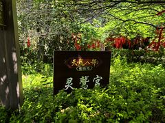 -伍山海滨石窟