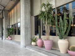 -生如夏花泰式火锅(西村黑金店)