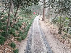 -上海佘山国家森林公园西佘山园