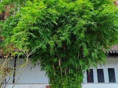 -苏州碑刻博物馆