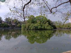 -翠湖公园