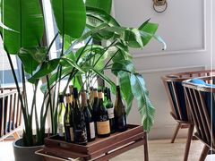 -The Rug Cafe(王府中环店)