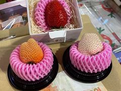 -油麻地果栏