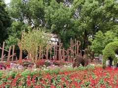 -上海滨江森林公园