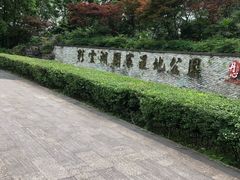 -重庆彩云湖湿地公园
