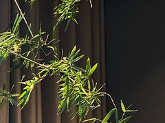 -食悦江南·淮扬菜·烤鸭(亚运村·惠新店)