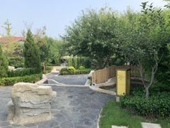 -大连金石滩绿发温泉假日酒店