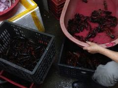 android_upload_pic-阿明烧烤·烤鱼·小龙虾(水清路店)