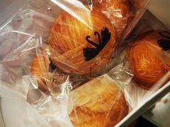 -BLACKSWAN黑天鹅(环球店)