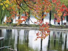 -长白岛森林公园