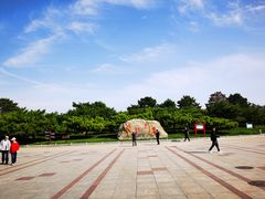 -塘沽森林公园