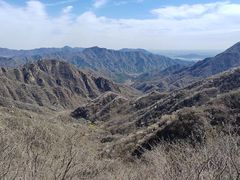 -大岭沟猕猴桃谷风景区