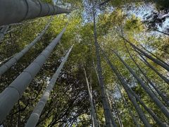 -杭州黄龙洞