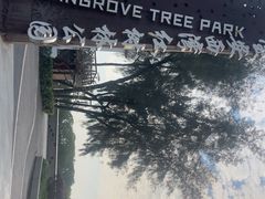 -宝安西湾红树林湿地公园