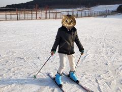 -十三陵雪世界滑雪场