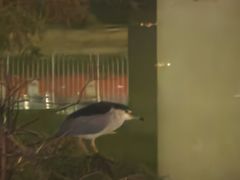 -东山羊庄(八卦岭店)