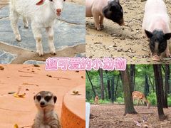 -南戴河国际娱乐中心