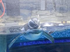 -石林冰雪海洋世界