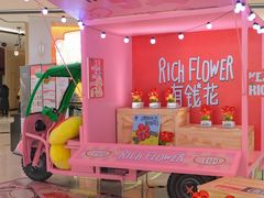 -合景·悠方(成都店)