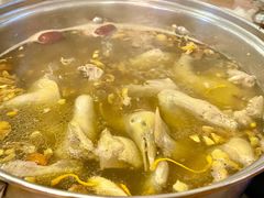 药膳乳鸽-百利鸽王(紫薇路店)