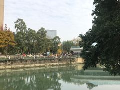 -成都市活水公园