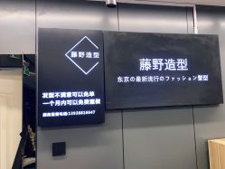 点击看大图 -藤野造型