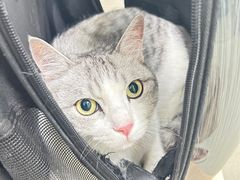 -美美宠物诊疗中心·异宠·骨科(滨江东信分院)