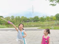 -王借岗森林公园