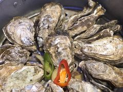 -千岛蚝高压锅生蚝·人参火锅(白云万达店)