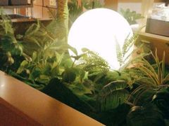 -宏宴·新京菜(望京店)