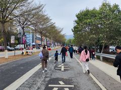 -盈香心动乐园