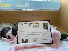 -美迦爱-牙专科·兔科·骨科诊疗中心(北苑店)