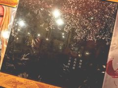 黑胶唱片-独音唱片 Indie Music