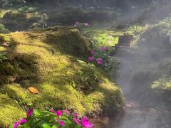 -Chom Cafe and Restaurant