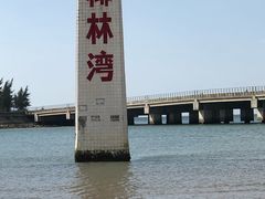 -东郊椰林