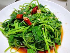 地瓜叶-佬肥猫(国华广场店)