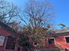 -潭柘寺景区