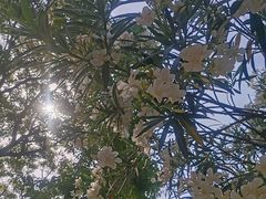 -堤角公园