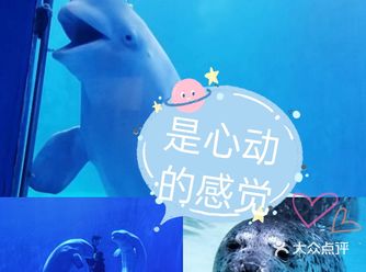多彩贵州城极地海洋世界，被海洋朋友wink了是心动的感觉
