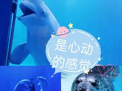 -多彩贵州城极地海洋世界