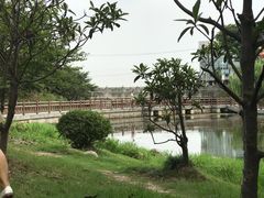 -海天湖公园