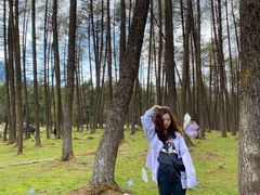 -硗碛藏寨·神木垒景区