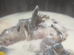 -鲜潭蒸汽石锅鱼(五道口购物中心店)